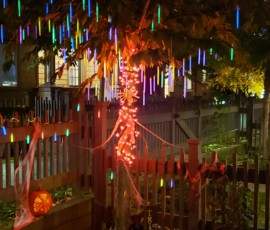 Ana Pruim's Decorations