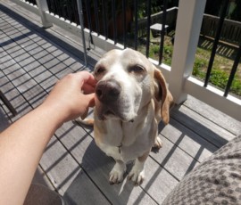 Buster - Wishing you a happy and sunny Friday!