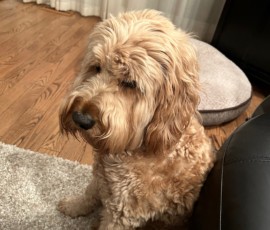 Eddie - Such a pensive boy. Who never shies away from a picture!